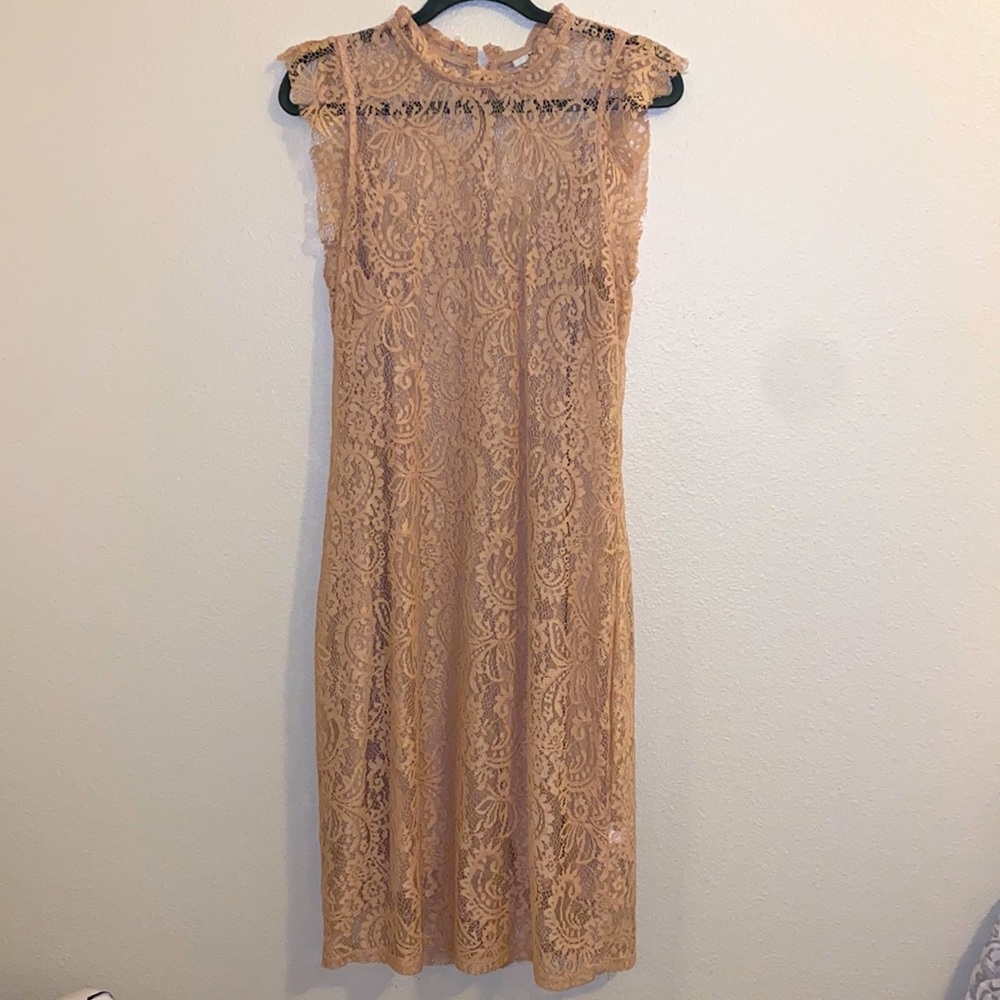 Never worn. Blush lace dress. Bar III.
